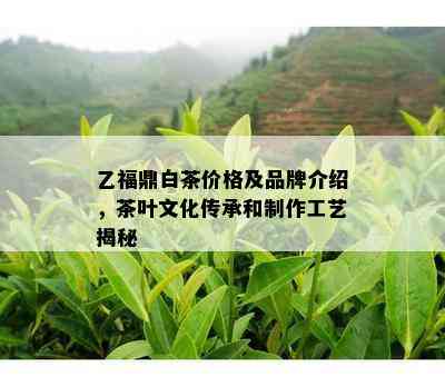 乙福鼎白茶价格及品牌介绍，茶叶文化传承和制作工艺揭秘