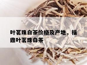 叶茗珠白茶价格及产地，福鼎叶茗珠白茶