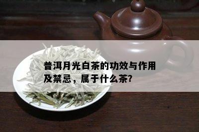 普洱月光白茶的功效与作用及禁忌，属于什么茶？