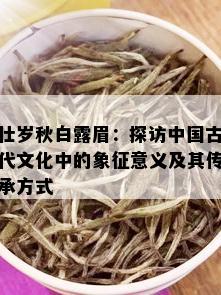 壮岁秋白露眉：探访中国古代文化中的象征意义及其传承方式