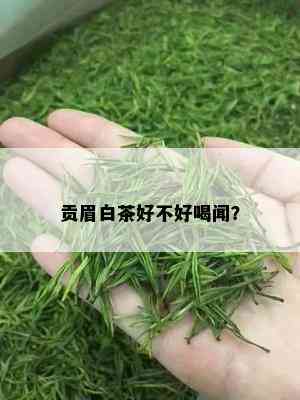 贡眉白茶好不好喝闻？