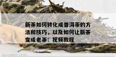 新茶如何转化成普洱茶的方法和技巧，以及如何让新茶变成老茶：视频教程