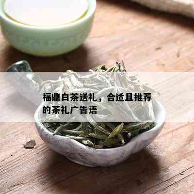 福鼎白茶送礼，合适且推荐的茶礼广告语