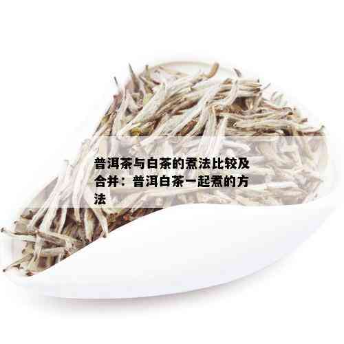 普洱茶与白茶的煮法比较及合并：普洱白茶一起煮的方法