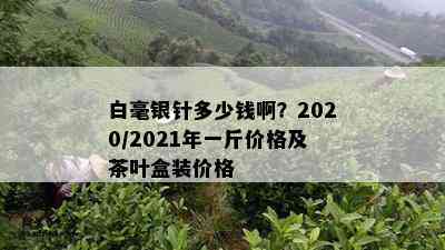 白毫银针多少钱啊？2020/2021年一斤价格及茶叶盒装价格