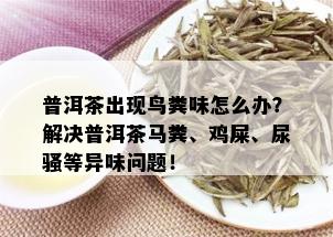 普洱茶出现鸟粪味怎么办？解决普洱茶马粪、鸡屎、尿骚等异味问题！