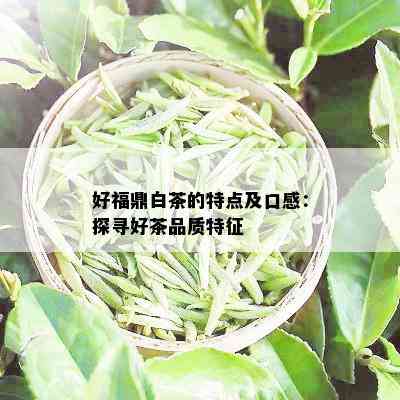 好福鼎白茶的特点及口感：探寻好茶品质特征