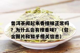 普洱茶闻起来香樟味正常吗？为什么会有樟香味？（包含图片和知乎相关信息）