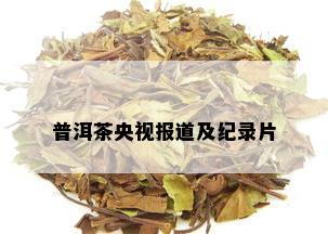 普洱茶央视报道及纪录片