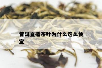 普洱直播茶叶为什么这么便宜