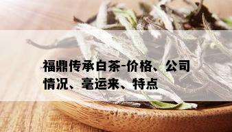 福鼎传承白茶-价格、公司情况、毫运来、特点