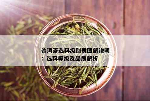 普洱茶选料级别表图解说明：选料等级及品质解析