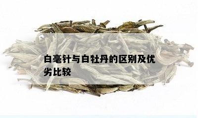 白毫针与白牡丹的区别及优劣比较