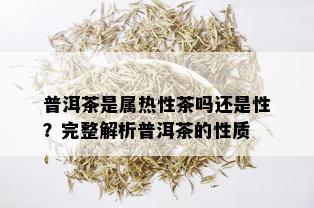 普洱茶是属热性茶吗还是性？完整解析普洱茶的性质