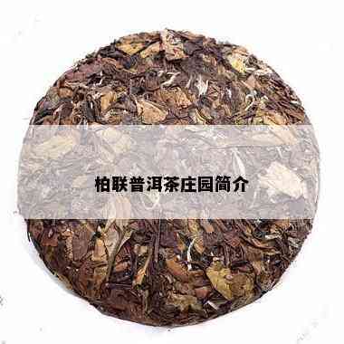 柏联普洱茶庄园简介