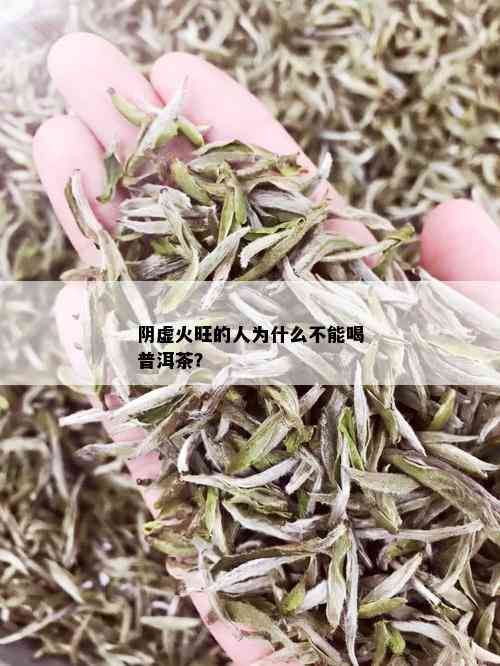 阴虚火旺的人为什么不能喝普洱茶？