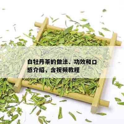 白牡丹茶的做法、功效和口感介绍，含视频教程