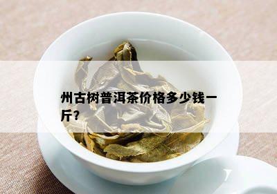 州古树普洱茶价格多少钱一斤？