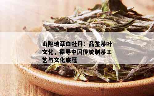 山隐瑞草白牡丹：品鉴茶叶文化，探寻中国传统制茶工艺与文化底蕴