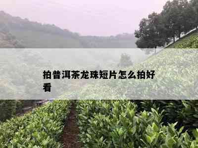 拍普洱茶龙珠短片怎么拍好看