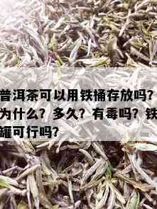 普洱茶可以用铁桶存放吗？为什么？多久？有吗？铁罐可行吗？