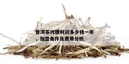 普洱茶代理利润多少钱一年，加盟条件及费用分析