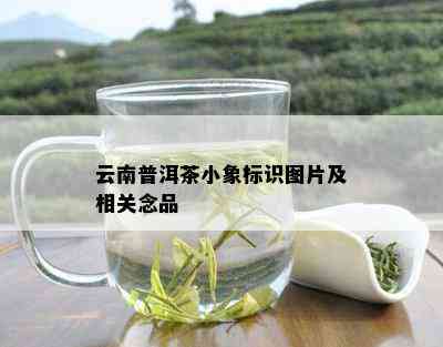 云南普洱茶小象标识图片及相关念品