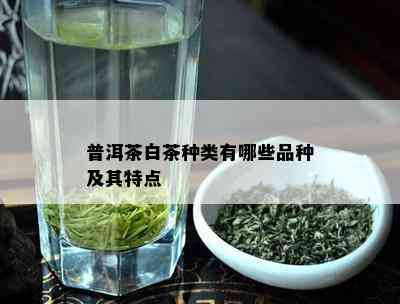 普洱茶白茶种类有哪些品种及其特点