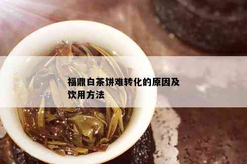 福鼎白茶饼难转化的原因及饮用方法