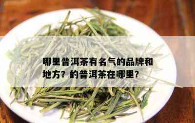 哪里普洱茶有名气的品牌和地方？的普洱茶在哪里？