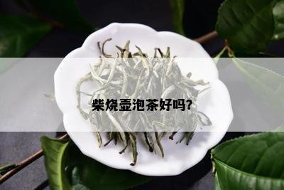 柴烧壶泡茶好吗？