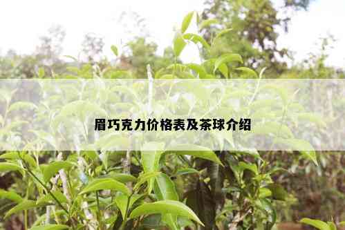 眉巧克力价格表及茶球介绍