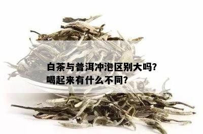 白茶与普洱冲泡区别大吗？喝起来有什么不同？