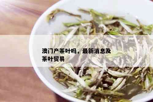 澳门产茶叶吗，最新消息及茶叶贸易