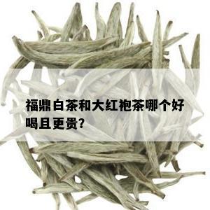 福鼎白茶和大红袍茶哪个好喝且更贵？