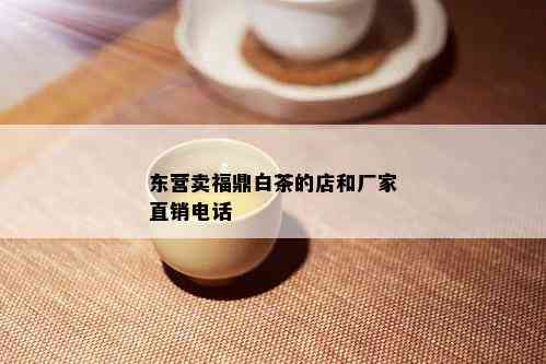 东营卖福鼎白茶的店和厂家直销电话