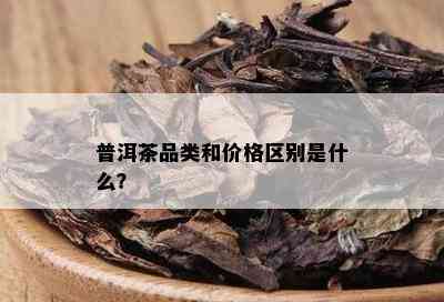 普洱茶品类和价格区别是什么？