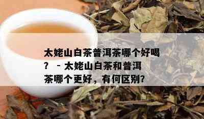 太姥山白茶普洱茶哪个好喝？ - 太姥山白茶和普洱茶哪个更好，有何区别？