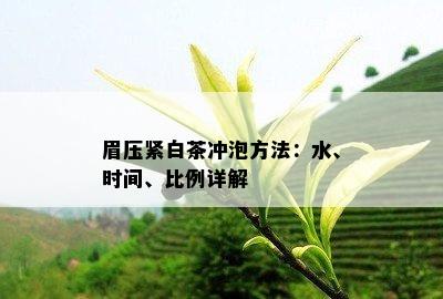 眉压紧白茶冲泡方法：水、时间、比例详解