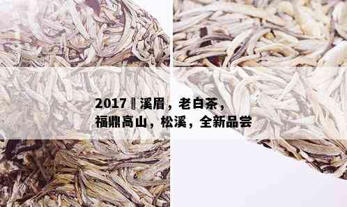 2017磻溪眉，老白茶，福鼎高山，松溪，全新品尝