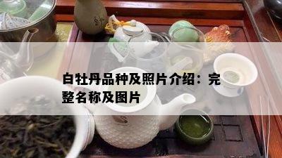 白牡丹品种及照片介绍：完整名称及图片