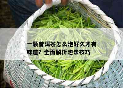 一颗普洱茶怎么泡好久才有味道？全面解析泡法技巧