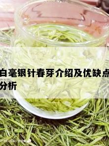 白毫银针春芽介绍及优缺点分析