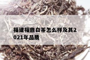 福建福鼎白茶怎么样及其2021年品质