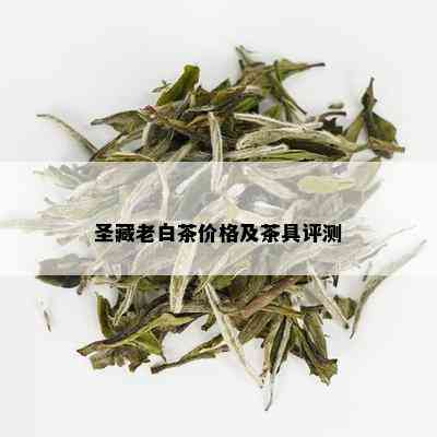 圣藏老白茶价格及茶具评测