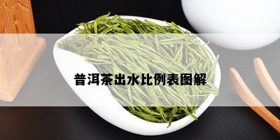 普洱茶出水比例表图解