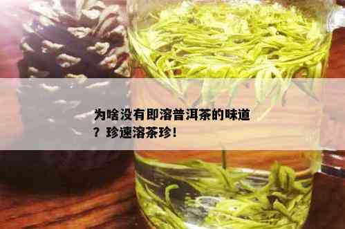 为啥没有即溶普洱茶的味道？珍速溶茶珍！