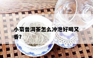 小菊普洱茶怎么冲泡好喝又香？