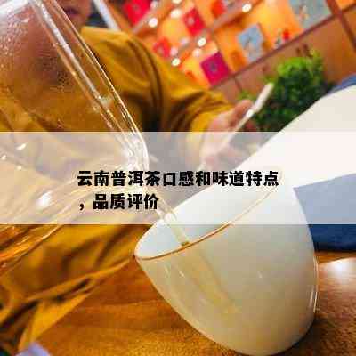 云南普洱茶口感和味道特点，品质评价