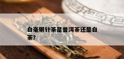 白毫银针茶是普洱茶还是白茶？